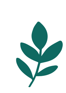 Заключение