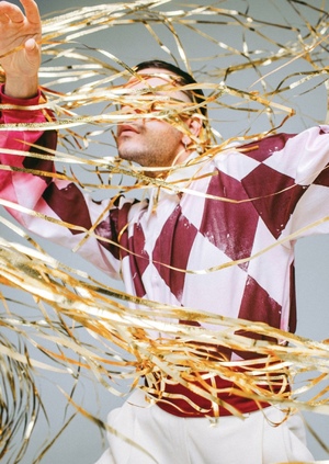 Husar Vulgaris: профайл бренда