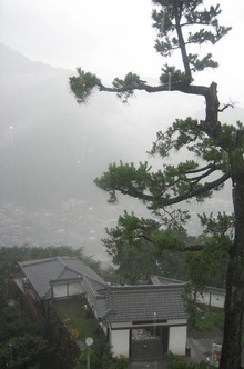 Заключение