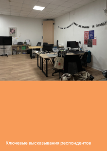 Приложение. Ключевые высказывания респондентов