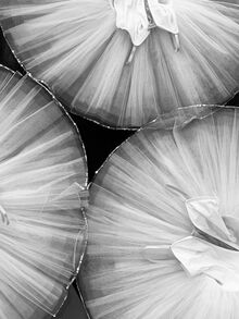 Образ балерины в анимации