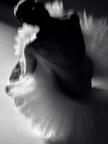 Сравнительный анализ образов