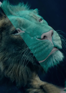 IV. Частичное погружение