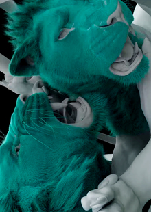 II. Подготовка