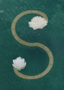 Spa LOTUS