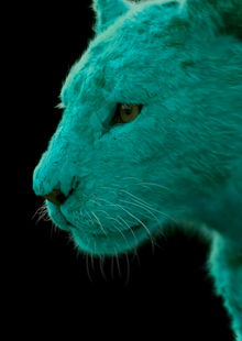 IV. Частичное погружение