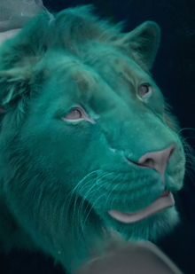 III. Полное погружение