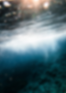 V. Заключение и источники