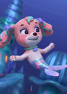 Заключение