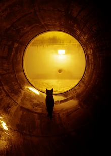 Заключение