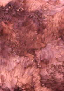 2. Теоретическая часть: основные понятия грума