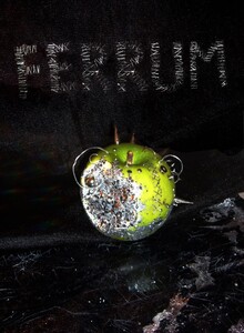 ferrum ferrum