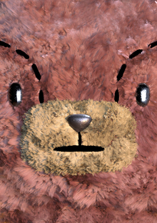 4. Практическая часть