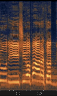  Spectral composition in the Basilica Cistern