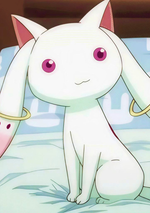 3. Компаньон