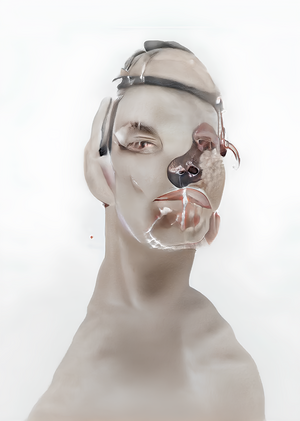 Художественные практики после исчезновения автора