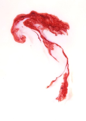 Звук как связующее звено между травмой и общественным сознанием