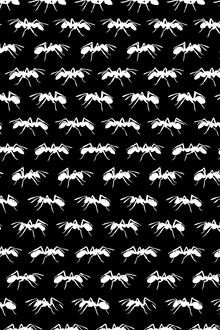 Заключение