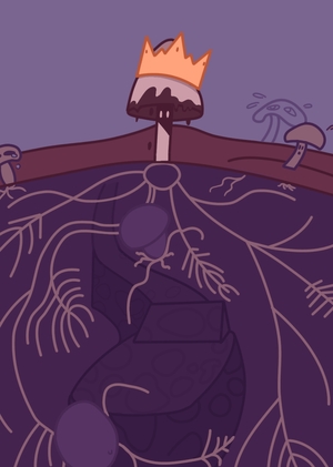 Грибное царство