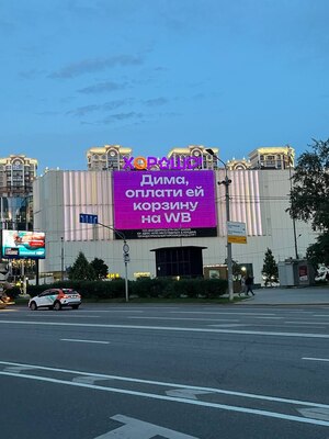 Анализ вирусной рекламной кампании Wildberries