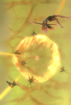 Заключение