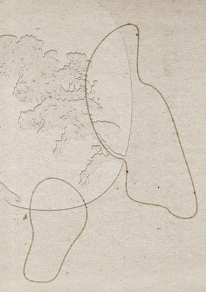 Communication theory: vnutry