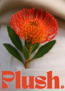 Plush: история о&nbsp;том, как цветы обрели свой голос