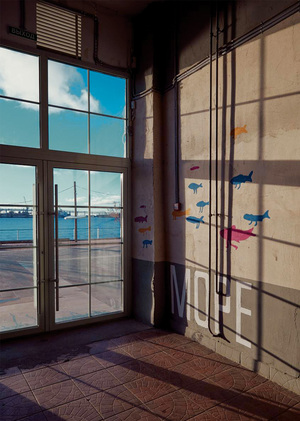 Как мы стены красили 