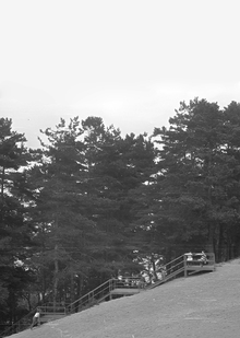 Заключение