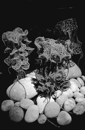 "Оставаясь со смутой". Симпоэзис как дороги.