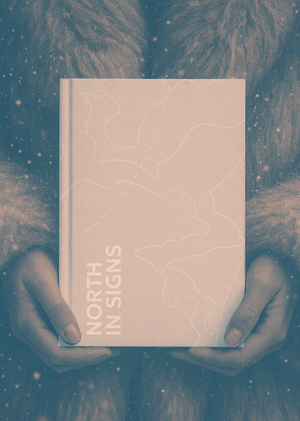 North In Signs Book