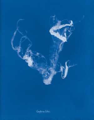 III глава: Визуальные стратегии fast fashion