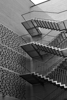 Выводы и проектное предложение