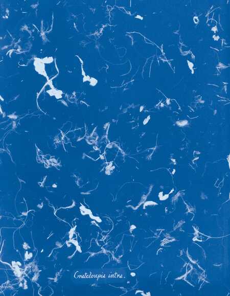 II глава: Парадокс массовой индивидуальности