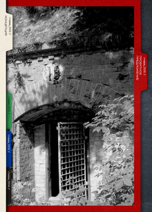 Глава 5. Выводы и проектное предложение