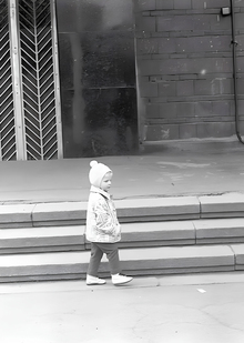 (техническое задание).