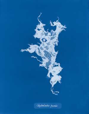 V глава: Альтернативные модели и сопротивление