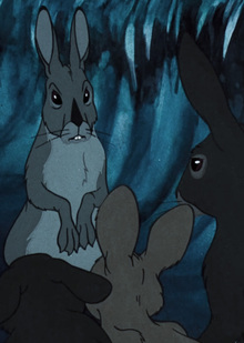 Внутри сообщества