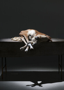 Заключение