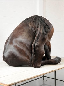 Эмоциональные и психологические фигуры