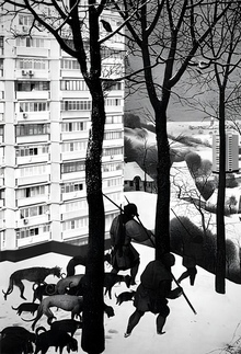 Заключение