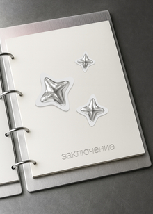 Заключения