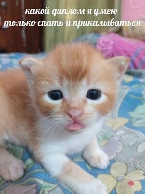 Communication theory