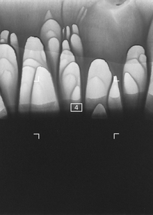 Заключение