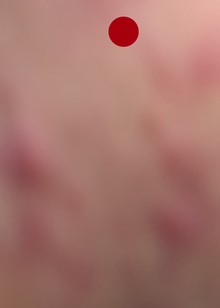 Заключение