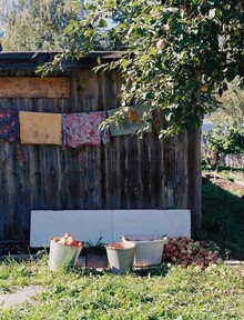 Глава&nbsp;2. Сад и&nbsp;огород.