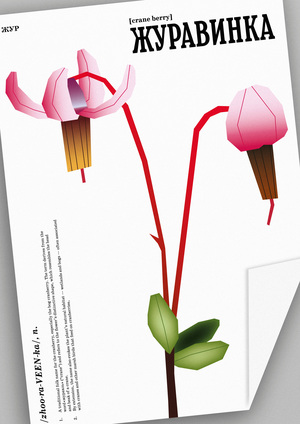 Edible Identities: Cranberry | Series of Posters