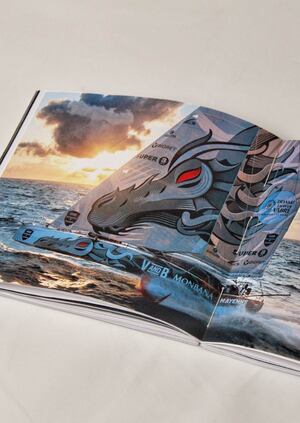 визуальное исследование: Мотивы графических сюжетов на парусных яхтах