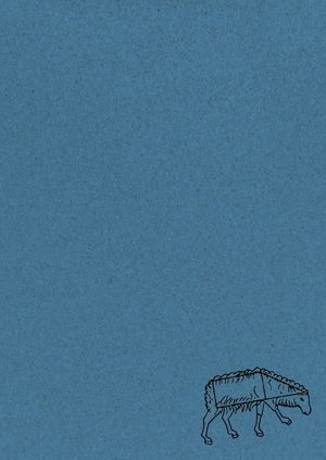 Способы и инструменты измерения красоты