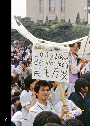 «Протестная типографика» и современное искусство